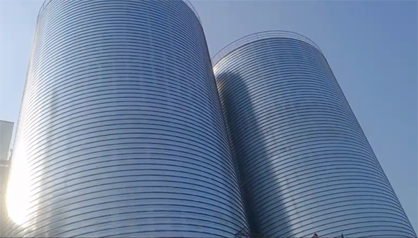 河西2座混凝土高架卷板仓